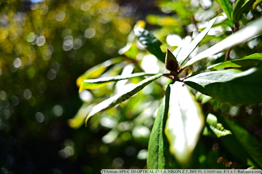 TTArtisan APS-C 17mm f/1.4 2
